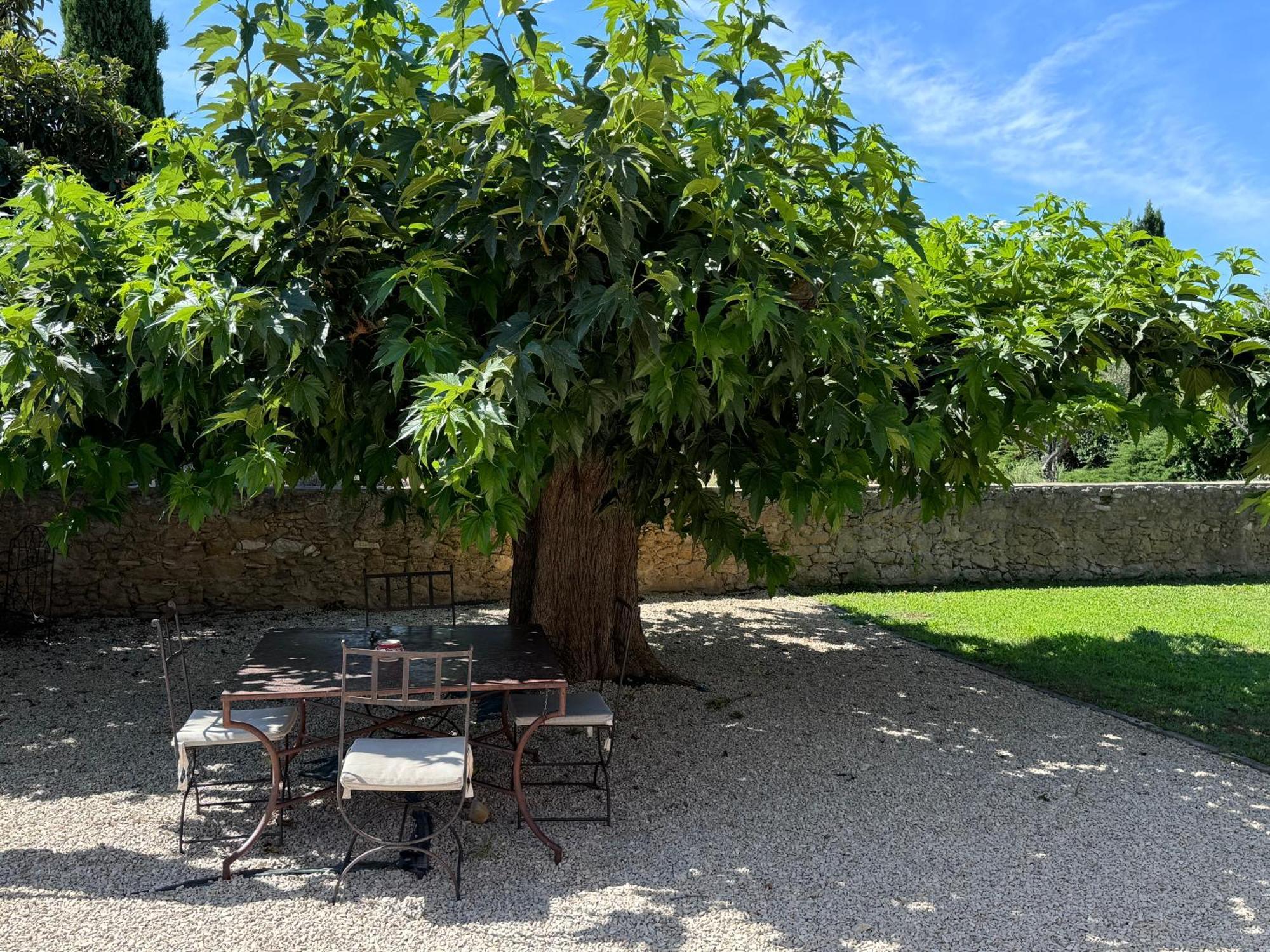Apartamento Bastide Du Buou Puyvert Habitación foto